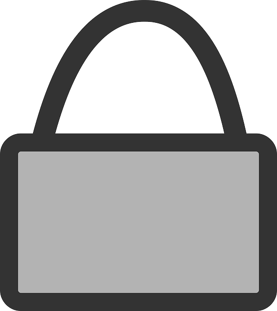 Free download Briefcase Encrypted Secure - Free vector graphic on Pixabay free illustration to be edited with GIMP free online image editor