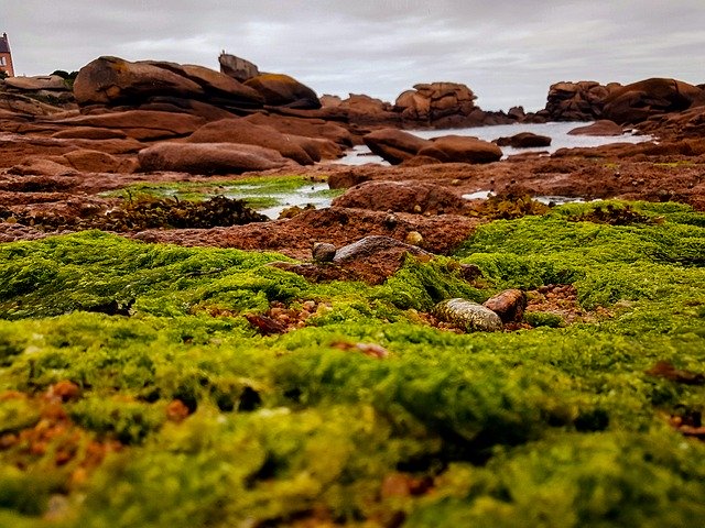 Free download Brittany Coast France -  free photo or picture to be edited with GIMP online image editor