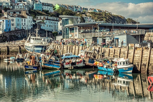 Free download brixham fishing harbour boats free picture to be edited with GIMP free online image editor