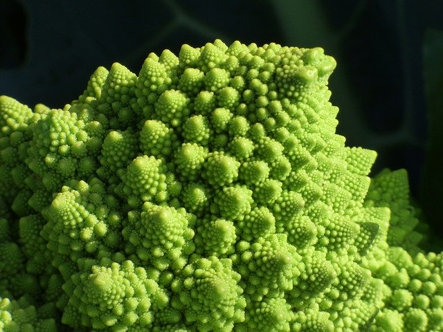 Free download Broccoli Spiral Fractal -  free illustration to be edited with GIMP free online image editor