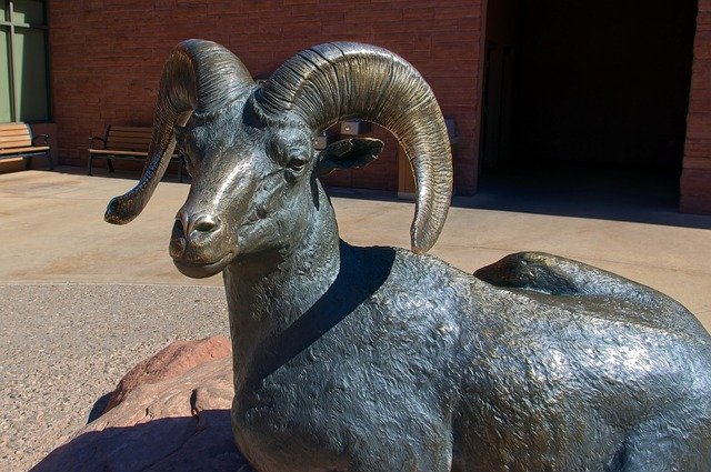 Free download Bronze Desert Bighorn Ram -  free photo or picture to be edited with GIMP online image editor