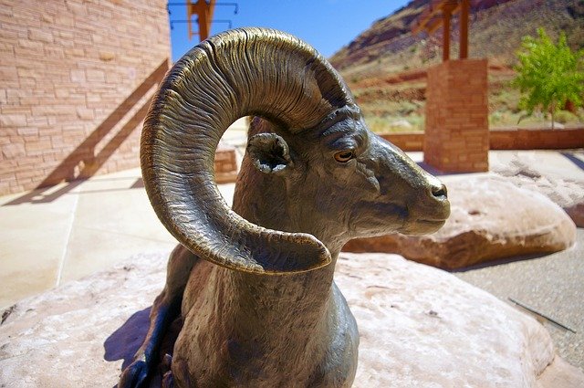 Free download Bronze Ram Bighorn Statue -  free photo or picture to be edited with GIMP online image editor