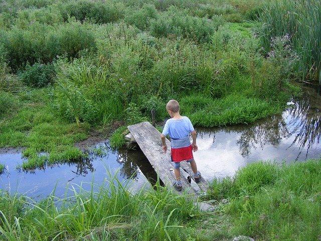 Free download Brook Footbridge Water The -  free free photo or picture to be edited with GIMP online image editor