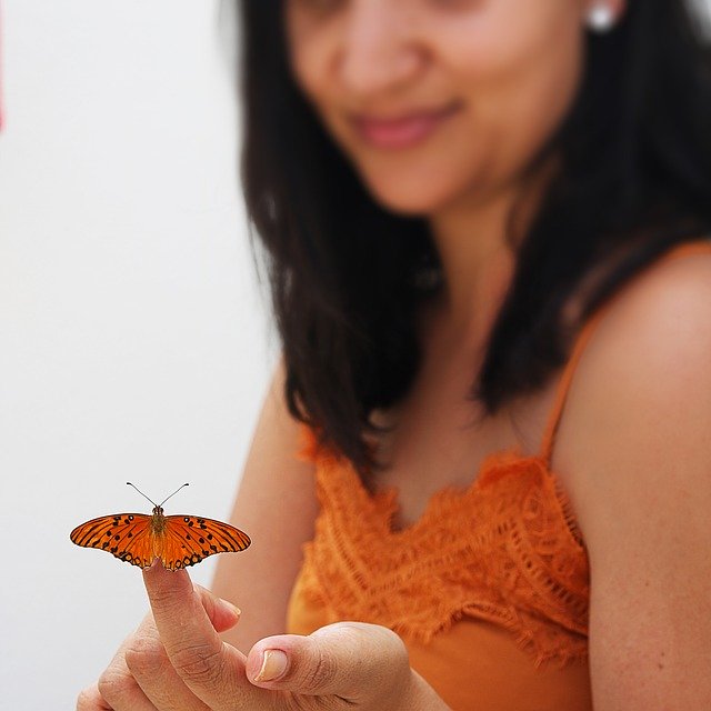 Free download Brunette Butterfly Brazil -  free photo or picture to be edited with GIMP online image editor