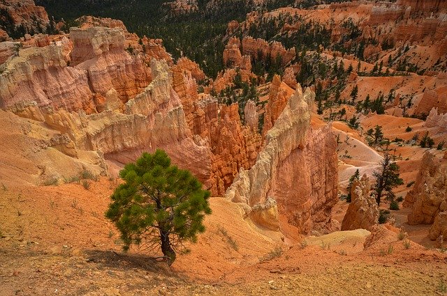 Free download Bryce Canyon Usa Vacations -  free photo or picture to be edited with GIMP online image editor