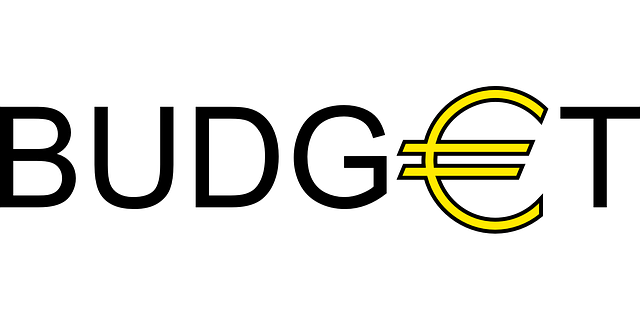 Free download Budget Euro Money - Free vector graphic on Pixabay free illustration to be edited with GIMP free online image editor