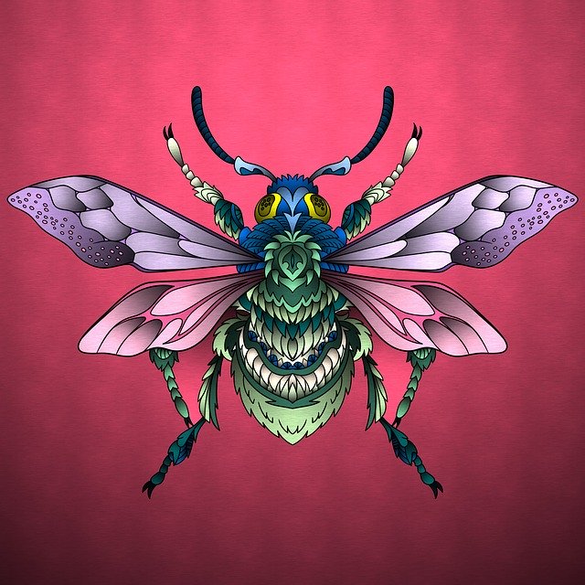 Free download Bugs Insect Bug -  free illustration to be edited with GIMP free online image editor