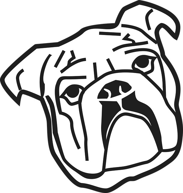 Free download Bulldog Animal Dog - Free vector graphic on Pixabay free illustration to be edited with GIMP free online image editor