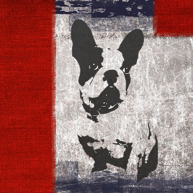 Free download Bull Dog Grunge -  free illustration to be edited with GIMP free online image editor