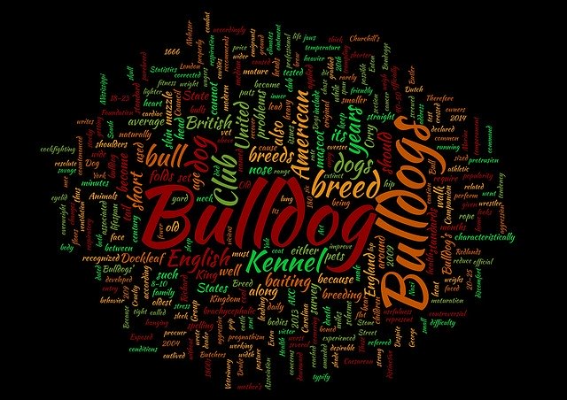 Free download Bulldog Word Cloud Dog -  free illustration to be edited with GIMP free online image editor