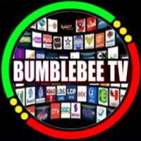 Free download Bumblebee TV free photo or picture to be edited with GIMP online image editor