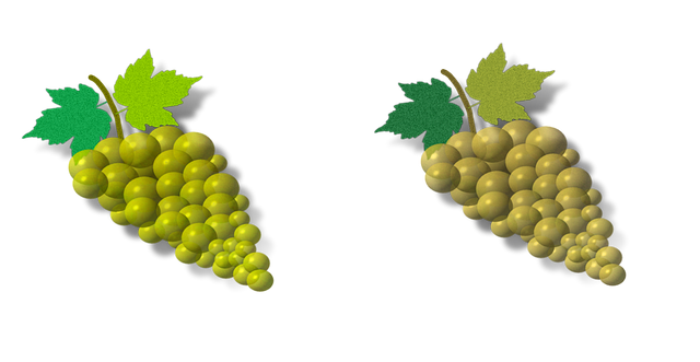 Free download Bunches Grapes Nature -  free illustration to be edited with GIMP free online image editor