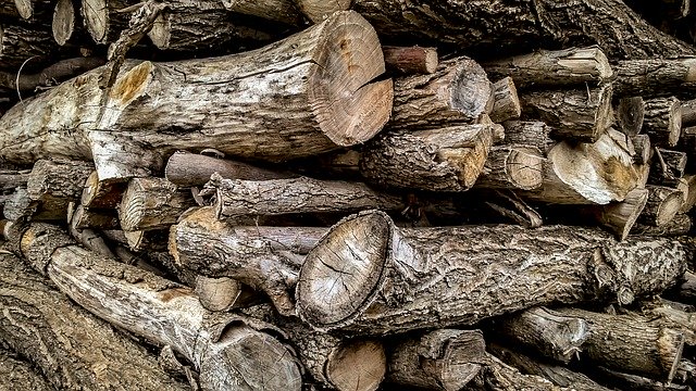 Free download Bunch Of Wood -  free photo or picture to be edited with GIMP online image editor