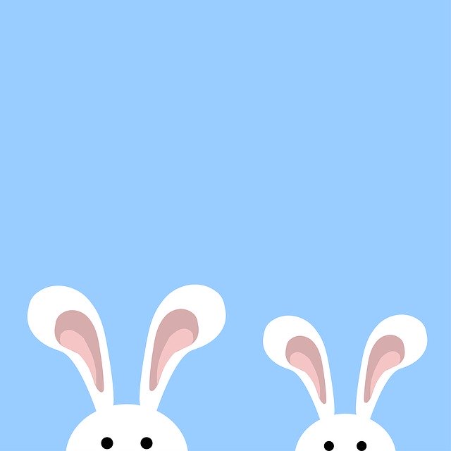 Free download Bunny Little Cute -  free illustration to be edited with GIMP free online image editor