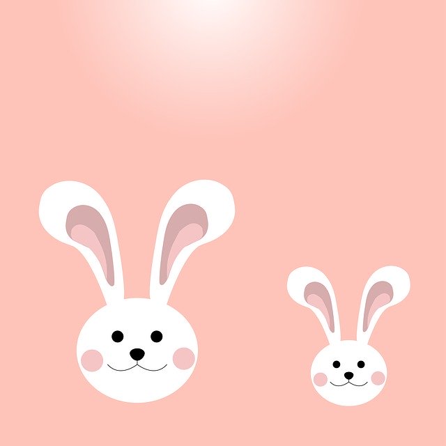 Free download Bunny Rabbit Cute -  free illustration to be edited with GIMP free online image editor