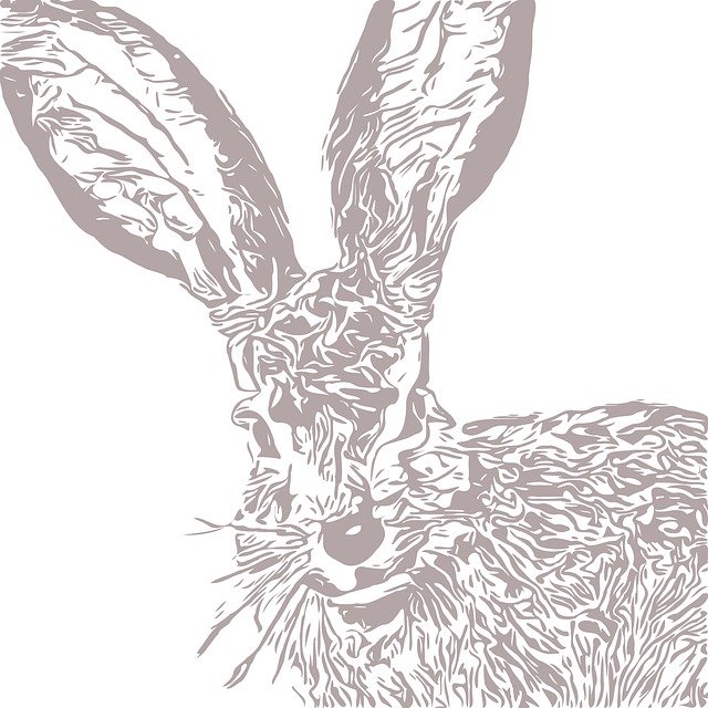 Free download Bunny Rabbit Drawing -  free illustration to be edited with GIMP free online image editor