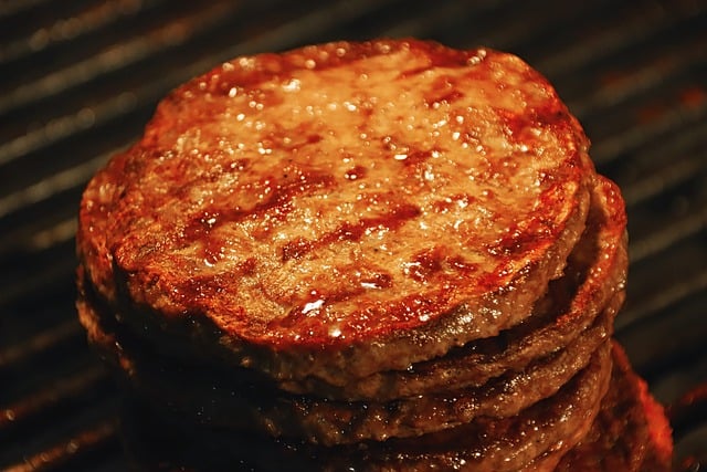 Free download burger patties minced meat meat free picture to be edited with GIMP free online image editor