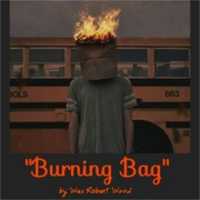 Free download Burning Bag free photo or picture to be edited with GIMP online image editor