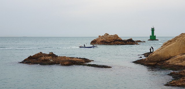 Free download busan millet his ocean rock free picture to be edited with GIMP free online image editor