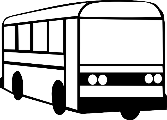 Free download Bus Automobile Carrier Public - Free vector graphic on Pixabay free illustration to be edited with GIMP free online image editor