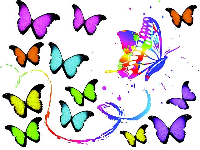 Free download Butterflies Art Color -  free illustration to be edited with GIMP free online image editor