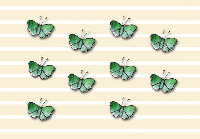 Free download Butterflies Insect Butterfly -  free illustration to be edited with GIMP free online image editor