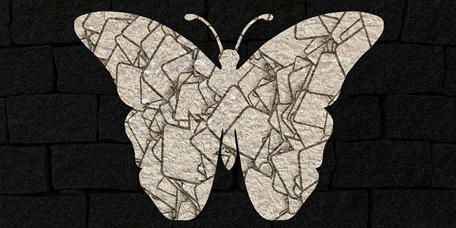 Free download Butterfly Animal Insects Butter -  free illustration to be edited with GIMP free online image editor