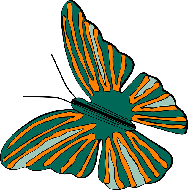 Free download Butterfly Bug Bugs - Free vector graphic on Pixabay free illustration to be edited with GIMP free online image editor