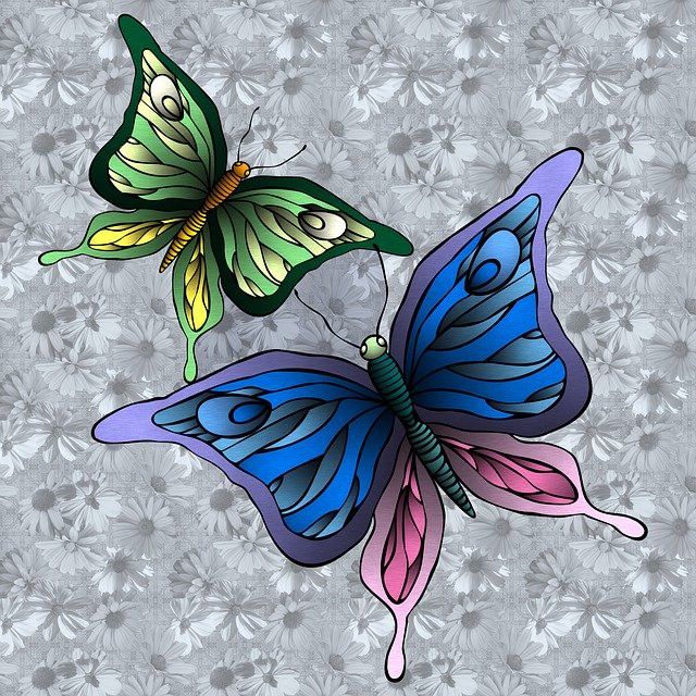 Free download Butterfly Colorful Nature -  free illustration to be edited with GIMP free online image editor