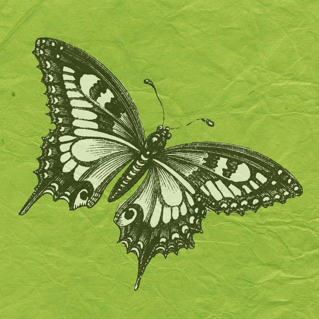 Free download Butterfly Green Scrapbook -  free illustration to be edited with GIMP free online image editor