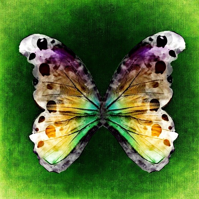 Free download Butterfly Insect Abstract -  free illustration to be edited with GIMP free online image editor