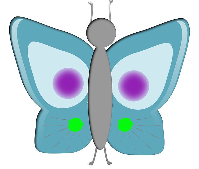 Free download Butterfly Insect Animal - Free vector graphic on Pixabay free illustration to be edited with GIMP free online image editor