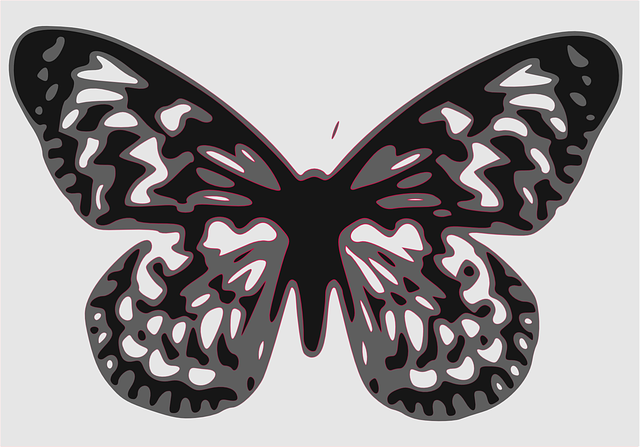 Kostenloser Download Schmetterling Insekt - Kostenlose Vektorgrafik auf Pixabay Kostenlose Illustration zur Bearbeitung mit GIMP Kostenloser Online-Bildeditor