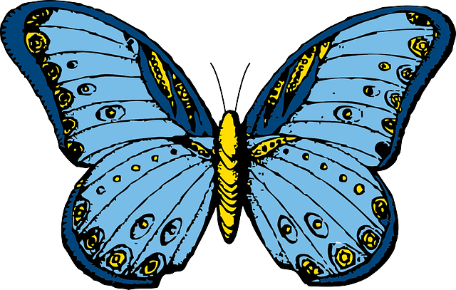 Free download Butterfly Insect Polymorphism - Free vector graphic on Pixabay free illustration to be edited with GIMP free online image editor