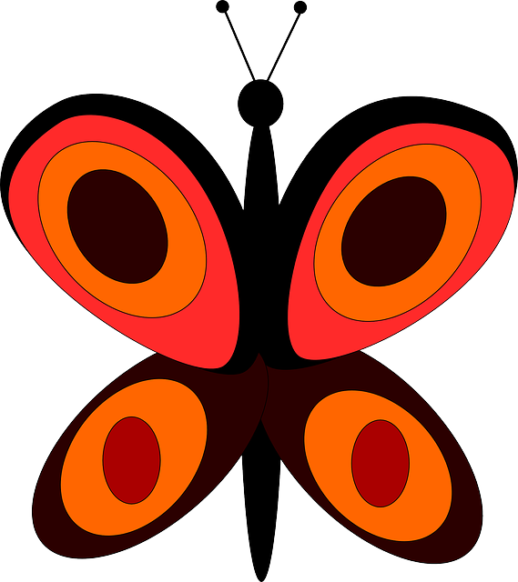 Free download Butterfly Orange Insect - Free vector graphic on Pixabay free illustration to be edited with GIMP free online image editor