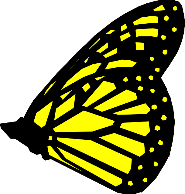 Free download Butterfly Yellow Black - Free vector graphic on Pixabay free illustration to be edited with GIMP free online image editor