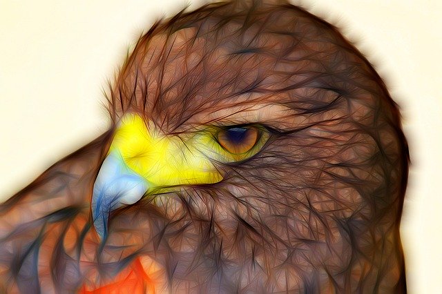 Free download Buzzard Art Bird -  free illustration to be edited with GIMP free online image editor