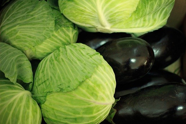 Free download cabbages eggplants vegetables food free picture to be edited with GIMP free online image editor