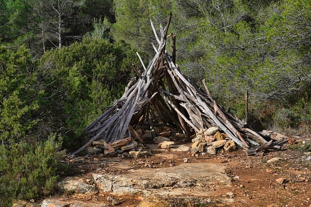 Free download cabin drink forest building nature free picture to be edited with GIMP free online image editor