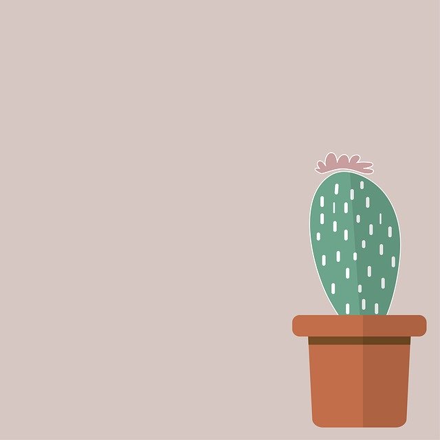 Free download Cactus Background -  free illustration to be edited with GIMP free online image editor