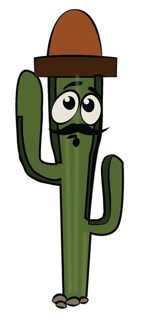 ดาวน์โหลดฟรี Cactus Cartoon Plant - ภาพประกอบฟรีที่จะแก้ไขด้วย GIMP โปรแกรมแก้ไขรูปภาพออนไลน์ฟรี