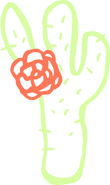 Free download Cactus Flower Plants - Free vector graphic on Pixabay free illustration to be edited with GIMP free online image editor