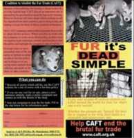 Free download CAFT Fur Its Dead Simple Leaflet free photo or picture to be edited with GIMP online image editor