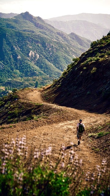 Téléchargement gratuit d'une photo gratuite de randonnée en Californie, nature, montagne à modifier avec l'éditeur d'images en ligne gratuit GIMP