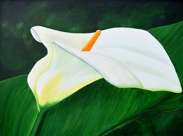 Free download Calla Acrylbild Painting -  free illustration to be edited with GIMP free online image editor