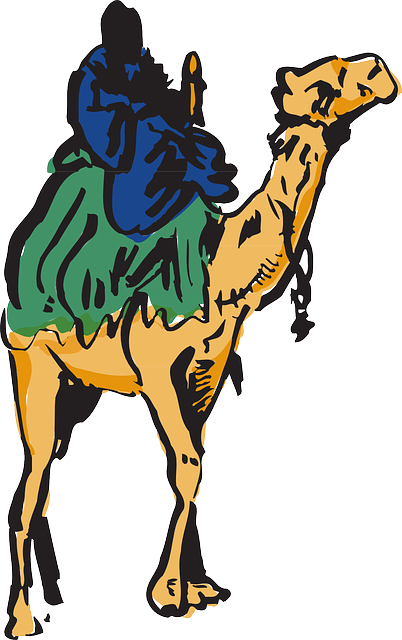 Free download Camel Man Riding - Free vector graphic on Pixabay free illustration to be edited with GIMP free online image editor