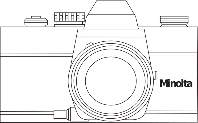 Free download Cameras Analogous Photography - Free vector graphic on Pixabay free illustration to be edited with GIMP free online image editor