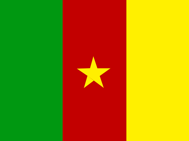 Free download Cameroon Flag Country - Free vector graphic on Pixabay free illustration to be edited with GIMP free online image editor