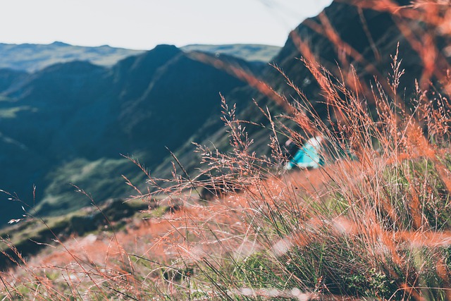 Free download camping nature mountains hike free picture to be edited with GIMP free online image editor