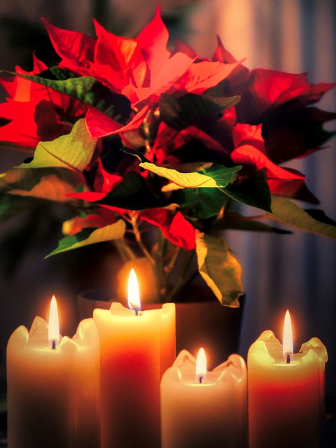 Free download candles flames leaves advent free picture to be edited with GIMP free online image editor